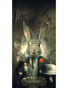 Mr Rabbit